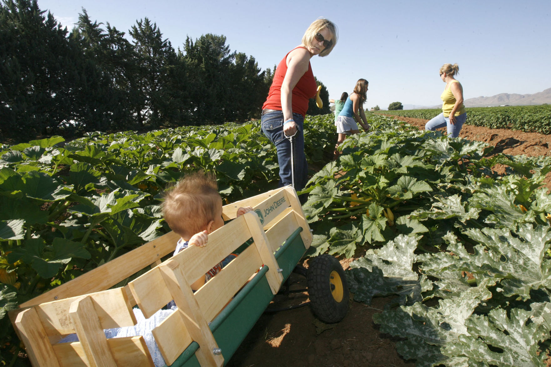 Apple Annie's Fall Pumpkin Celebration